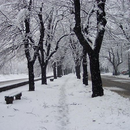 Sophies World Apartment Sarajevo Bagian luar foto